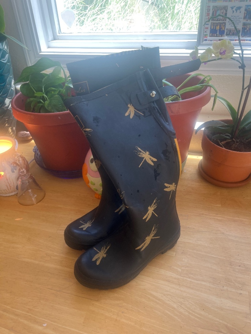Joules Rain Boots Wellies Dragonfly